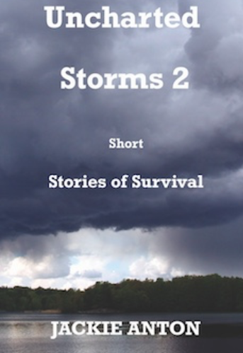 Uncharted Storms 2 Short Stories of Survival Image